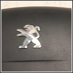 Immagine di Airbag PEUGEOT Boxer III