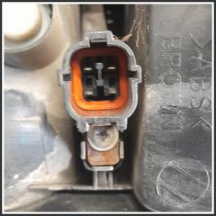 Immagine di Fanaleria Posteriore SSANGYONG Kyron