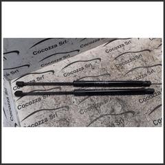 Immagine di Ammortizzatori Cofano Portelloni EVO EVO3