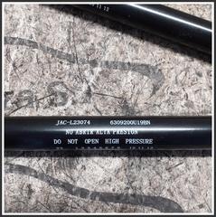 Immagine di Ammortizzatori Cofano Portelloni EVO EVO3