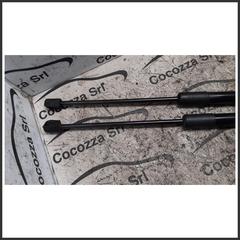 Immagine di Ammortizzatori Cofano Portelloni EVO EVO3