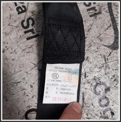 Immagine di Cinture di Sicurezza post. dx EVO EVO3