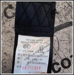 Immagine di Cinture di Sicurezza post. sx EVO EVO3