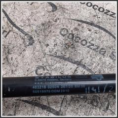 Immagine di Coppia Ammortizzatori cofano PUNTELLO sx dx