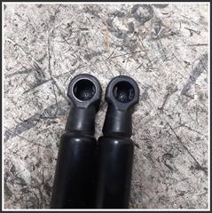 Immagine di Coppia Ammortizzatori cofano PUNTELLO sx dx