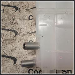 Immagine di SERB di espan supple