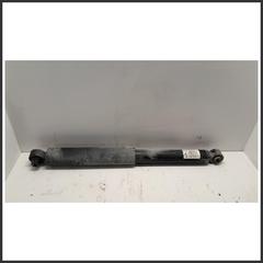 Immagine di Ammortizzatore . | sx. | post.