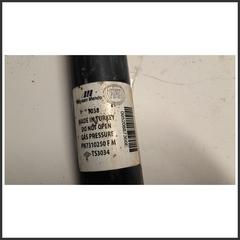 Immagine di Ammortizzatore . | sx. | post.