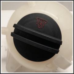 Immagine di Vaschetta acqua Vaschetta espansione radiatore dr6/dr5.0/F35/dr4 |  | 