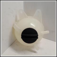 Immagine di Vaschetta acqua Vaschetta espansione radiatore dr6/dr5.0/F35/dr4 |  | 