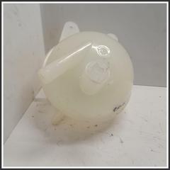 Immagine di Vaschetta acqua Vaschetta espansione radiatore dr6/dr5.0/F35/dr4 |  | 