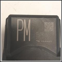 Immagine di MODULO ELETTRONICO 