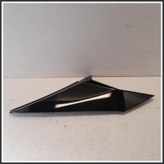 Immagine di RIVESTIMENTO MODANATURA POSTERIORE TETTO DX