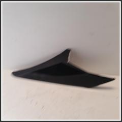 Immagine di RIVESTIMENTO MODANATURA POSTERIORE TETTO DX