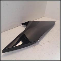 Immagine di RIVESTIMENTO MODANATURA POSTERIORE TETTO SX