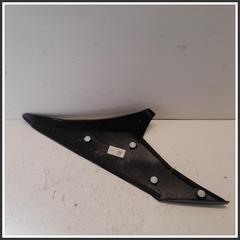 Immagine di RIVESTIMENTO MODANATURA POSTERIORE TETTO SX