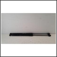 Immagine di cOPPIA Ammortizzatore portello PISTONCINO  APERTURA PORTELLONE EVO3 | dx. | post.