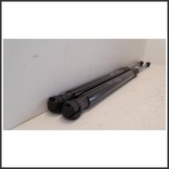 Immagine di cOPPIA Ammortizzatore portello PISTONCINO  APERTURA PORTELLONE EVO3 | dx. | post.