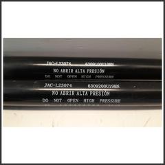 Immagine di cOPPIA Ammortizzatore portello PISTONCINO  APERTURA PORTELLONE EVO3 | dx. | post.