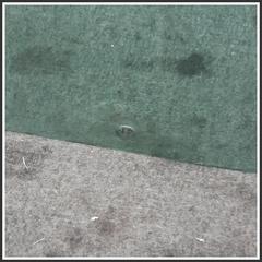 Immagine di Cristallo scendente porta CRISTALLO ATERMICO | sx. | ant.