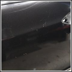 Immagine di Porta PORTA ANT. SX EVOELECTRIC/EVO3 | sx. | ant.