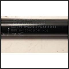 Immagine di COPPIA Ammortizzatore portello PUNTELLO | . | post.