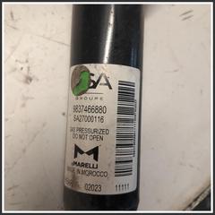 Immagine di Ammortizzatore AMMORTIZZ POST | dx. | post.