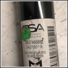 Immagine di Ammortizzatore AMMORTIZZ POST | sx. | post.