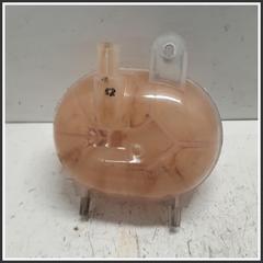 Immagine di Vaschetta acqua SERBATOIO |  | 