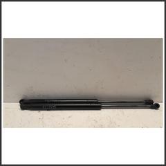 Immagine di coppia Ammortizzatore portello PUNTELLO || post.