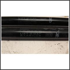 Immagine di coppia Ammortizzatore portello PUNTELLO || post.