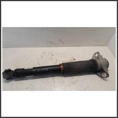 Immagine di Ammortizzatore . | sx. | post.