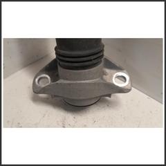 Immagine di Ammortizzatore . | sx. | post.