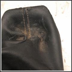 Immagine di Pomello e cuffia leva cambio Cuffia e pomello leva cambio dr5.0 MT/dr4.0 MT |  | 