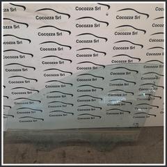 Immagine di cristallo porta ant. SX dr5.0/dr4.0 | sx. | ant.