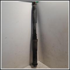 Immagine di Ammortizzatore AMMORTIZZATORE POST. EVO3 | dx. | post.