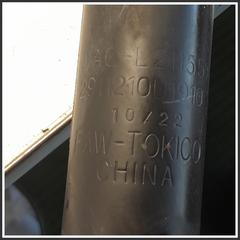 Immagine di Ammortizzatore AMMORTIZZATORE POST. EVO3 | sx. | post.