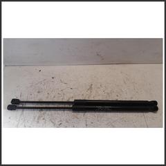 Immagine di Coppia Ammortizzatore portello PISTONCINO DX APERTURA PORTELLONE EVO3 | dx. | post.