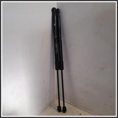 Immagine di Coppia Ammortizzatore portello PISTONCINO DX APERTURA PORTELLONE EVO3 | dx. | post.
