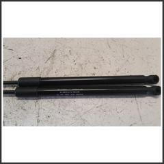 Immagine di Coppia Ammortizzatore portello PISTONCINO DX APERTURA PORTELLONE EVO3 | dx. | post.