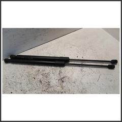 Immagine di Coppia Ammortizzatori portello dx sx. | post.