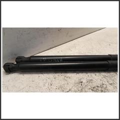 Immagine di Coppia Ammortizzatori portello dx sx. | post.