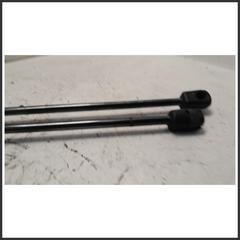 Immagine di Coppia Ammortizzatori portello dx sx. | post.