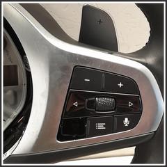 Immagine di Volante .