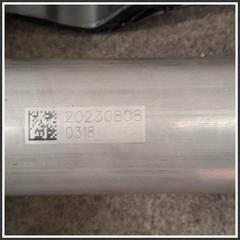 Immagine di PIANTONE STERZO