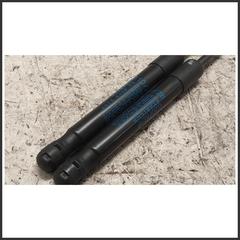 Immagine di COPPIA Ammortizzatore cofano Molla a gas cofano anteriore passiva | ant.