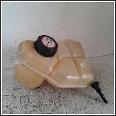 Immagine di Vaschetta Liquido Raffreddamento FORD Fiesta V DQ14F6JB