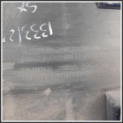 Immagine di Modanatura di protezione Fiancata laterale anteriore SX