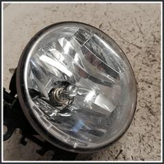 Immagine di Fendinebbia SX