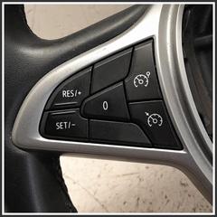 Immagine di Volanti Sterzo DACIA Sandero III